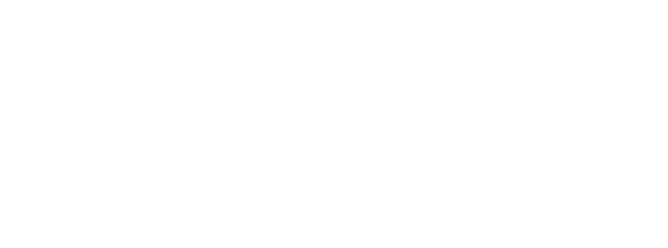 petrasoft_solutions_white_logo_hozn