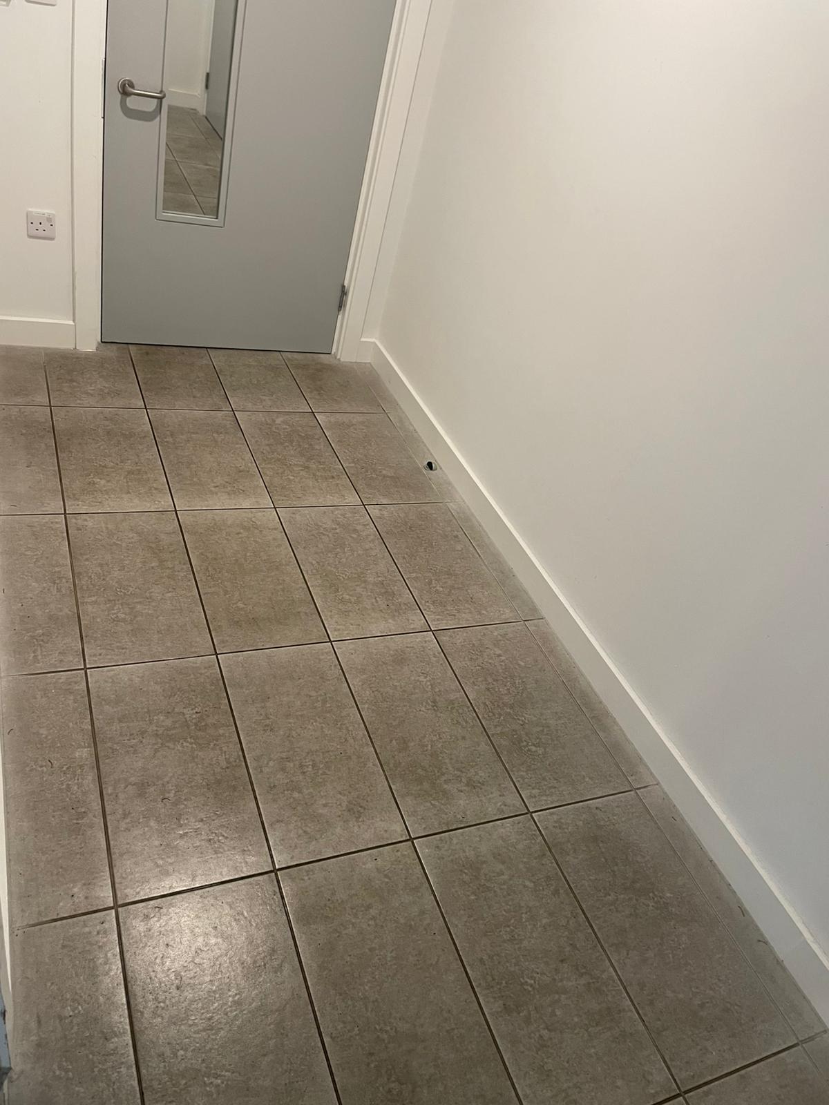 Platinum Cleaning Service (2)