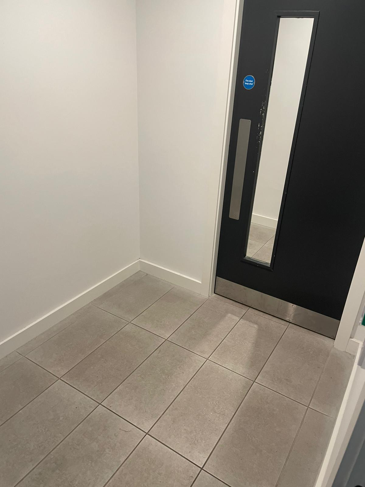 Platinum Cleaning Service (6)